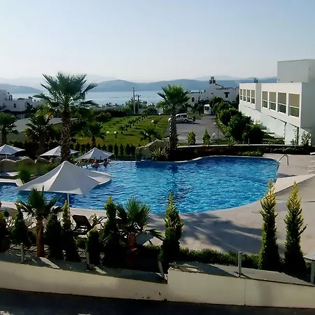 Horizon Sky Cherry 10 * Kıyıkıslacık